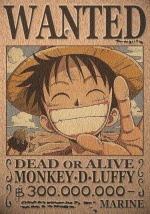 Luffy1